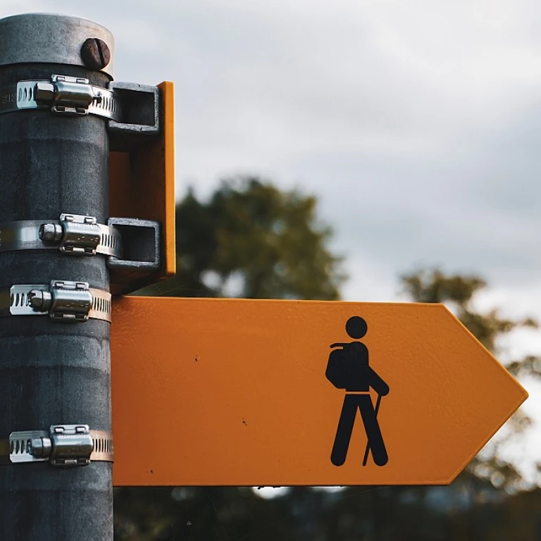 Optimiser votre réseau avec un centre logistique