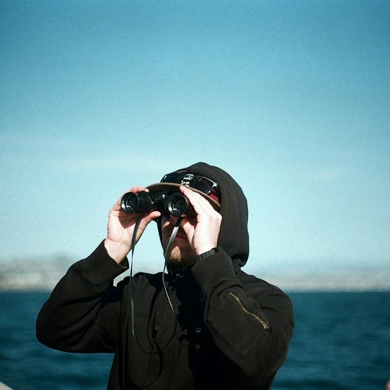 Optimisation des plateformes de stockage pour une logistique efficace