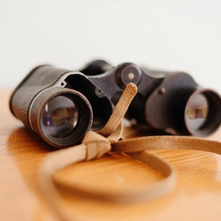 Optimiser la gestion logistique avec silgom blanchisserie : enjeux et solutions